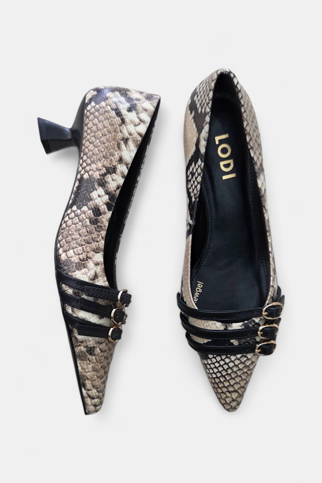 Lodi shoes