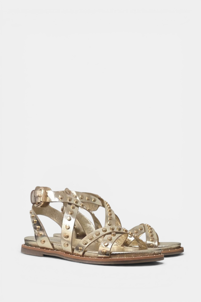 Carmela shoes
