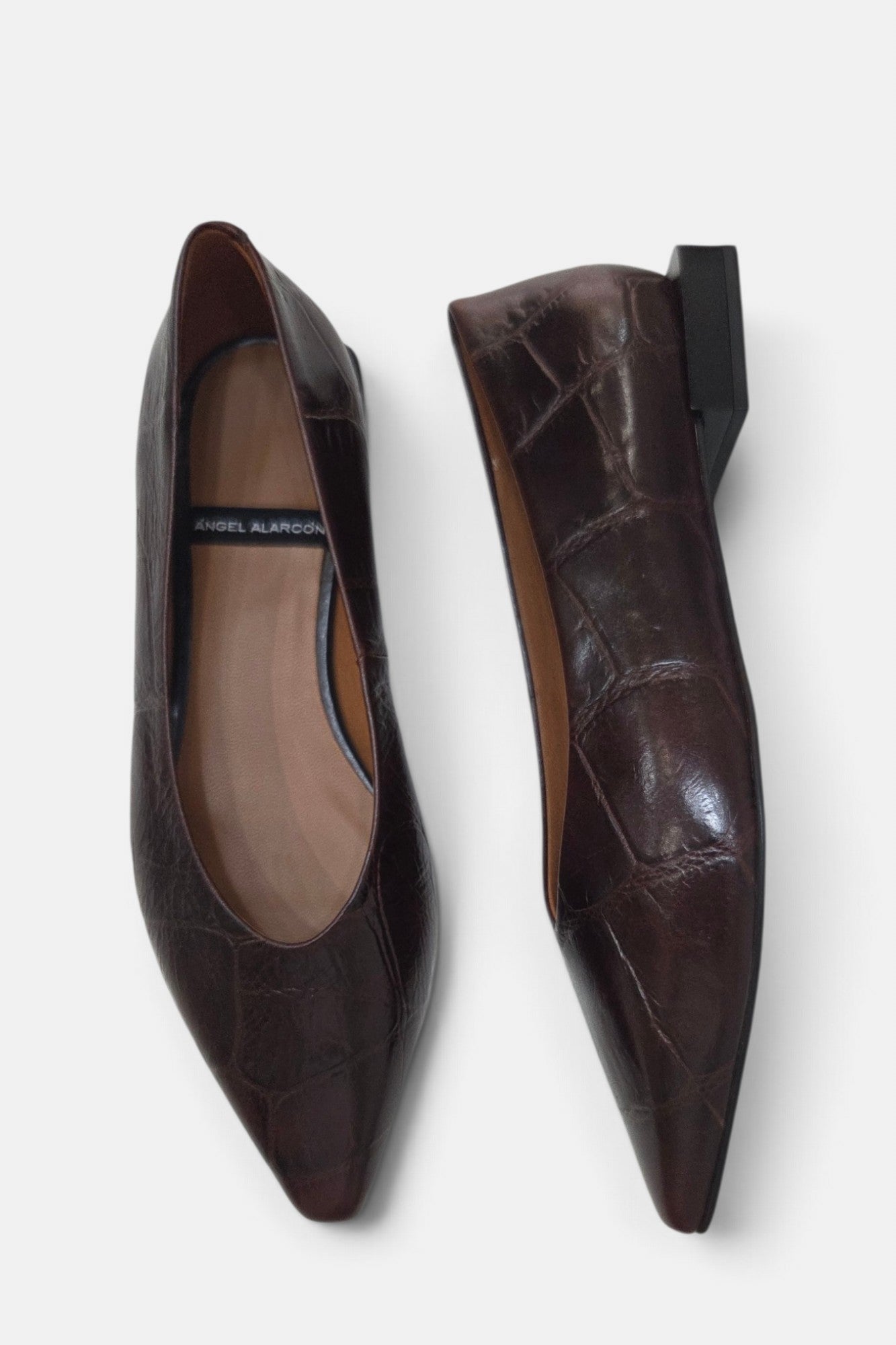 ÁNGEL ALARCÓN